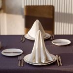 napkin in the plate